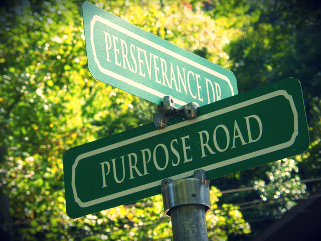 Purpose road sign
